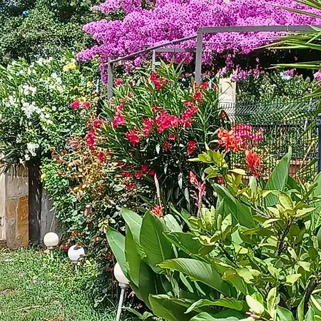 Casa vacanze Kostela Stankovci (Zadar)